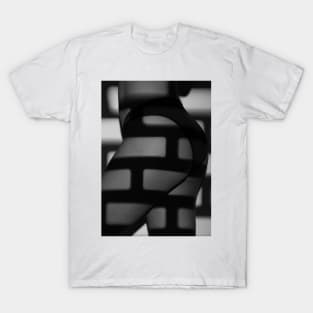 Fine Art Female #1 T-Shirt